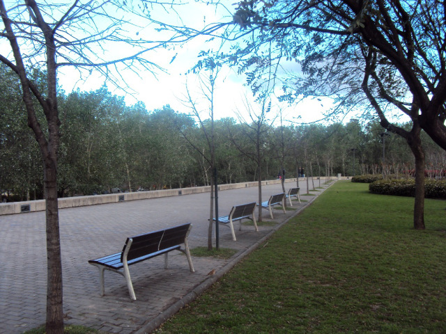 Costanera Sur